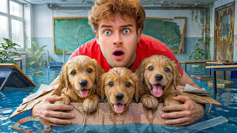 Students Uncover Puppy Theft Ring at School