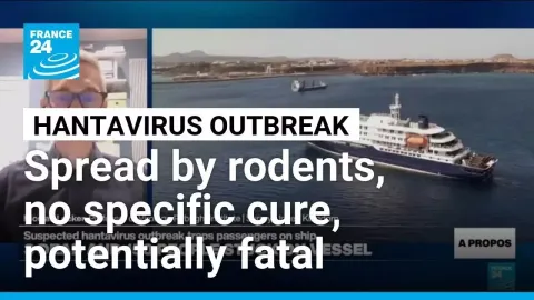 Hantavirus Outbreak on Cruise Ship: What You Need to Know About the Rodent-Borne Disease