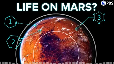 Why Martian Soil's Toxicity Could Actually Support Alien Life