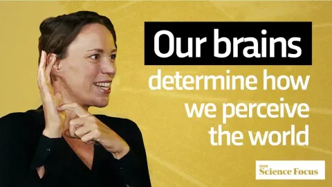 How Neuroscience Challenges Free Will: Insights from Dr. Hannah Critchlow