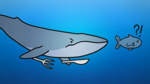 Why Blue Whales Prefer Krill Over Fish: The Science of Giant Filter Feeders