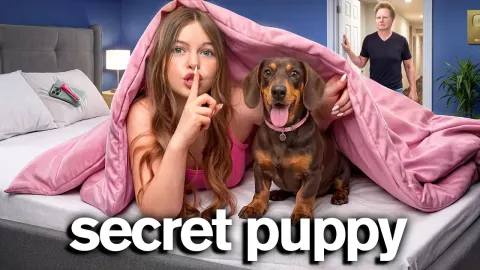 Rescuing a Lost Puppy and Keeping It Secret from Family