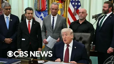 Trump Eases Restrictions on Psychedelic Research for Mental Health Treatments