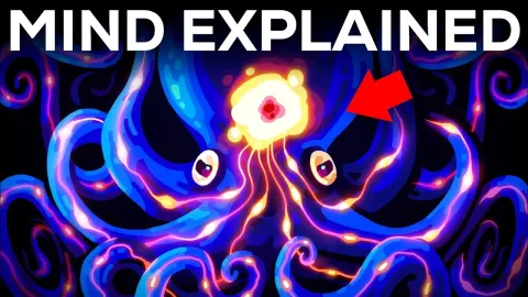 Exploring Animal Consciousness and the Evolution of Minds