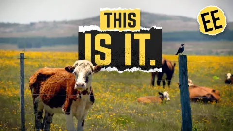 How Uruguay Built a Stable Economy Without Natural Resources