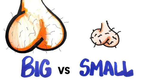 What Your Testicle Size Reveals About Your Health and Evolution