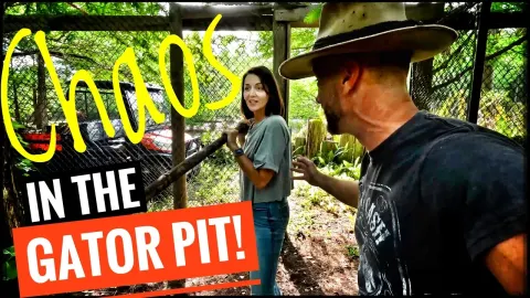 First-Time Alligator Feeding Experience at a Reptile Sanctuary