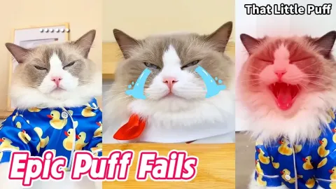 Kitchen Hacks That Go Hilariously Wrong