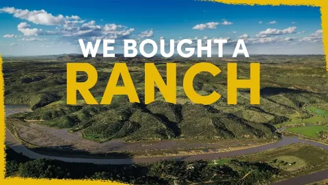 Restoring a Portuguese Ranch into a Rewilding Reserve for Biodiversity