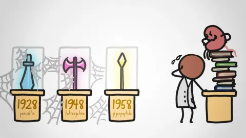 Why No New Antibiotics Have Been Discovered in 40 Years