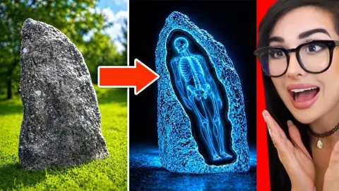 World's Most Bizarre Discoveries: From Fossilized Ammonites to Abandoned Funeral Homes