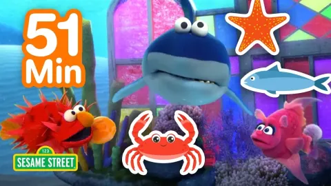 Explore Ocean Animals with Elmo: A Fun Underwater Adventure