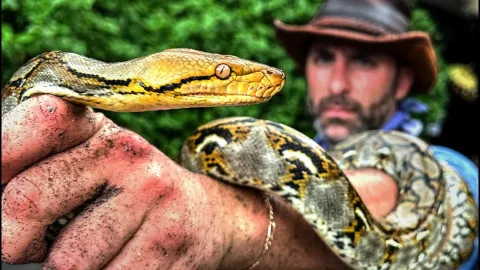 Inside a Bat-Filled Cave: Hunting Reticulated Pythons in Bali