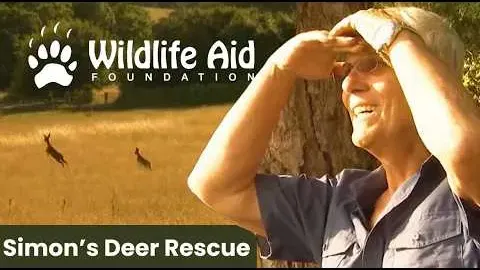 A Heartwarming Deer Rescue: Simon Cowell's Most Memorable Wildlife Save