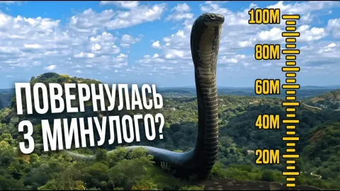 Snake: Titanoboa and Why It Matters