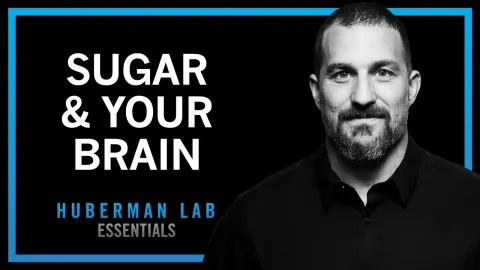 How to Control Sugar Cravings Using Science-Based Tools for Better Metabolism