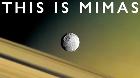 Saturn's Moon Mimas Hides a Young Ocean Beneath Its Cratered Surface