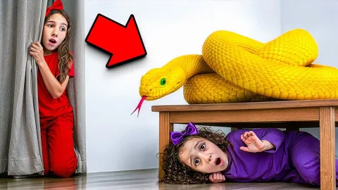 Sister Saves Sibling from Snake in Toy Box Emergency