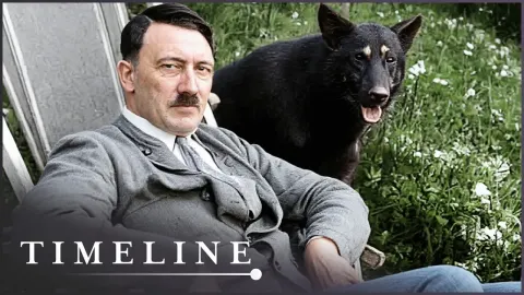 Hitler's Dark Obsession with Animals: How the Nazis Used Animal Welfare to Justify Genocide