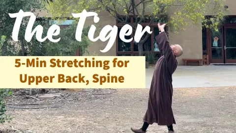Qigong Tiger Stretch for Upper Back and Spine Relief