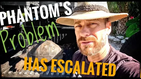 Testing Phantom for a Chronic Tortoise Disease in Florida