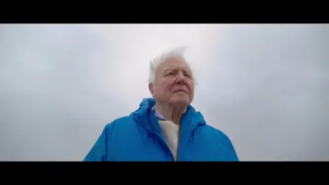 David Attenborough Explains Why Protecting Our Oceans Is Crucial for Earth's Future