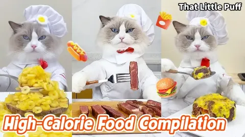 Indulgent High-Calorie Food Creations and Cooking Ideas