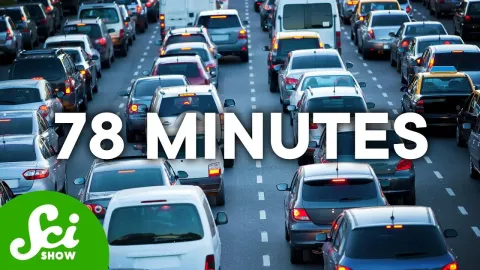 Why Humans Everywhere Spend the Same Time Commuting