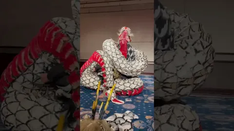 Enjoying Iwami Kagura and Local Cuisine at a Hotel in San'in Region