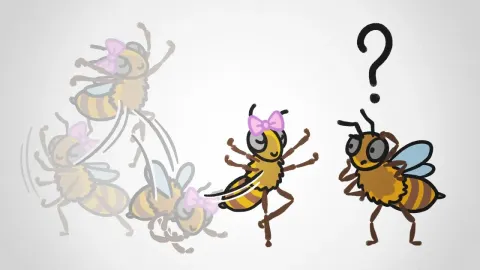 How Honeybees Evaluate Food Sources Through the Waggle Dance