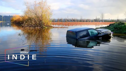 How Clear-Cutting Forests in British Columbia Is Worsening Flood Risks