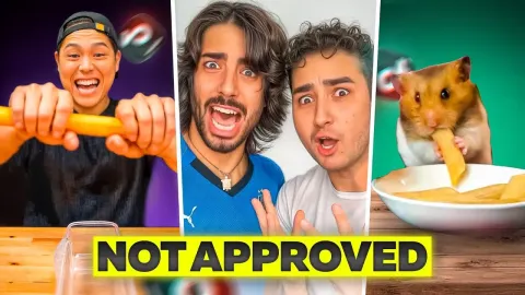 Lionfield Reacts to Viral TikTok Cooking Fails and Chef Reactions