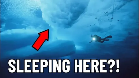Surviving Two Nights in the Most Remote Ice Camp on Earth