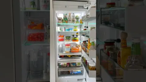 A Step-by-Step Guide to Cleaning and Organizing Your Refrigerator