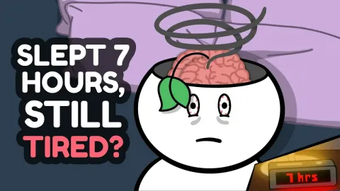 How Sleep Cycles Affect Energy Levels and Mental Health