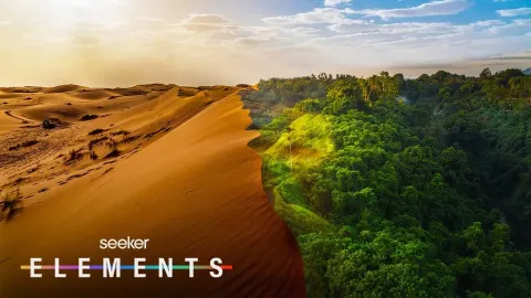 The Sahara Desert Was Once Green and Lush, and a Massive Project Aims to Restore It