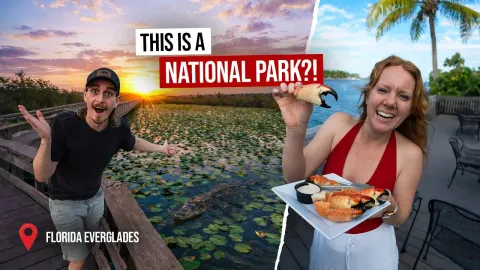 Exploring the Florida Everglades: America's Most Unique National Park