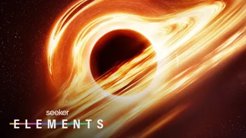 How Black Holes Form, Grow, and Eventually Die