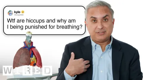 How Your Lungs Work: Breathing, Asthma, Hiccups, and Vaping Risks Explained by a Pulmonologist
