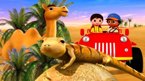 Exploring the Desert: What to Expect on an Adventure